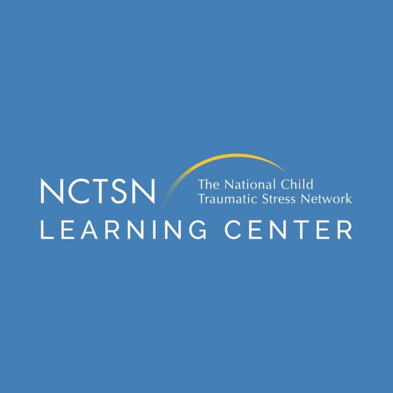 Basisonderwijs Cursus | Gehechtheidsvitaminen: Interactieve Cursus over Gehechtheid, Stress en Trauma bij Jonge Kinderen