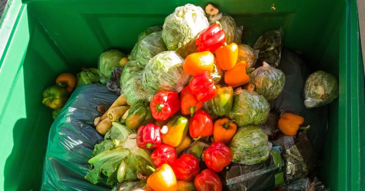 Left Over Receptenchallenge VMBO en MBO Overijssel