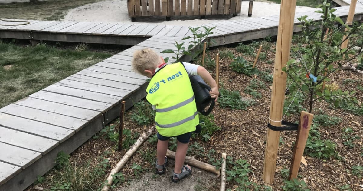 Pluktuin op schoolplein maakt leerlingen enthousiast over (eetbaar) groen