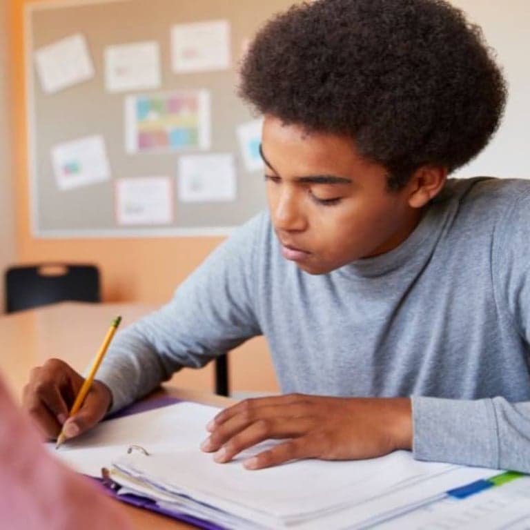 Basisonderwijs Cursus | Ontwikkelen van Rekenvaardigheden bij Leerlingen met Dyslexie en Dyscalculie