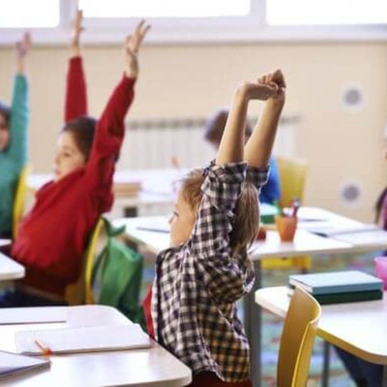 Basisonderwijs Cursus | Beweging voor Verbetering (3 Studiepunten)