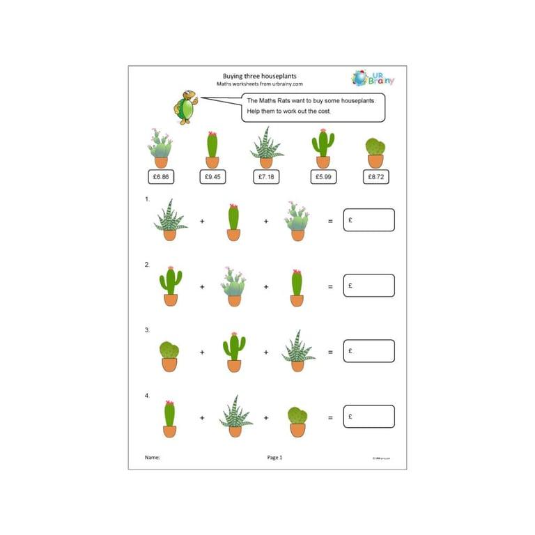 Basisonderwijs Werkblad | Drie Kamerplanten Kopen