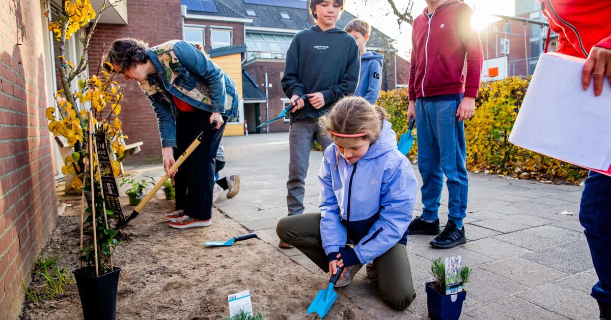 Drie Nijmeegse schoolpleinen worden groener, gezonder en avontuurlijker