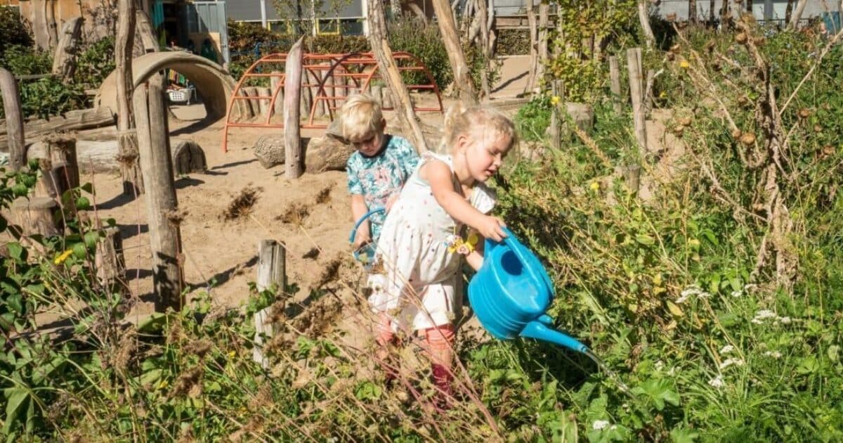 Gezocht: basisscholen die hun schoolplein gaan vergroenen