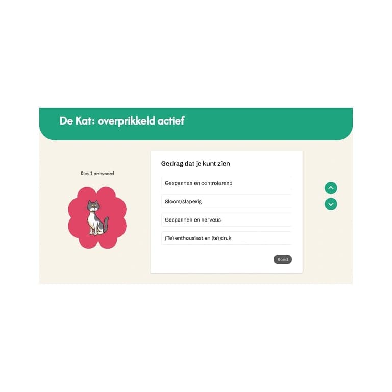 categorie afbeelding