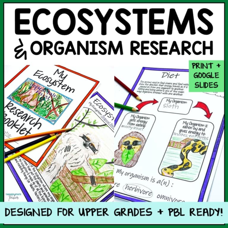 Basisonderwijs Materiaal | Ecosysteem en Biomen Project - Dierenonderzoek Grafische Organisatoren Bundel