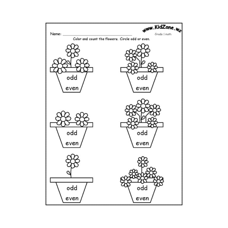 Basisonderwijs Werkblad | Oneven of Even 1 - Bloemen/Zomerthema-Activiteitswerkblad (Engelstalig)