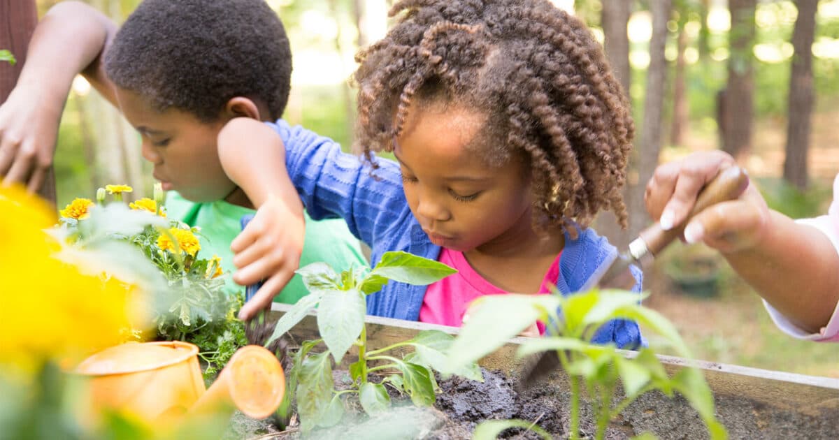 Maand van de Schooltuin