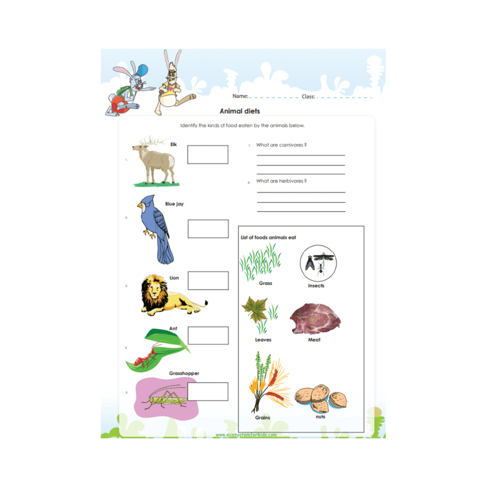 Basisonderwijs Werkblad | Dierenvoedin
