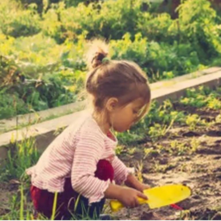 Basisonderwijs Webinars | Inzicht in de Natuurlijke Wereld Door Buiten Spelen Voorschoolse Leeftijd