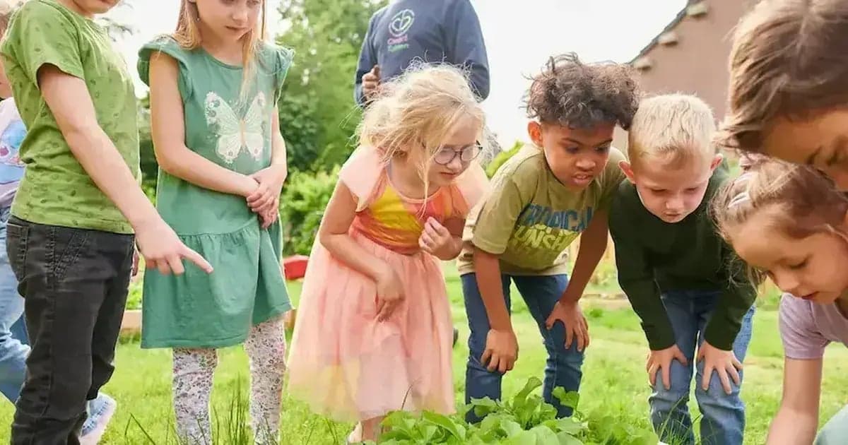 Gouden Weken kleuren groen