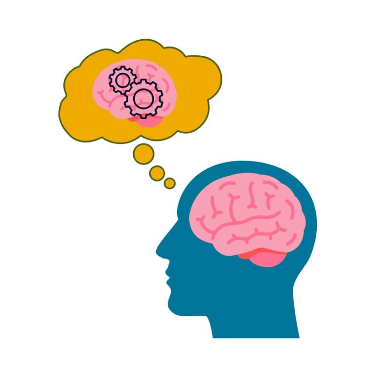 Basisonderwijs Studieprogramma | Cognitieve Coach Cursus