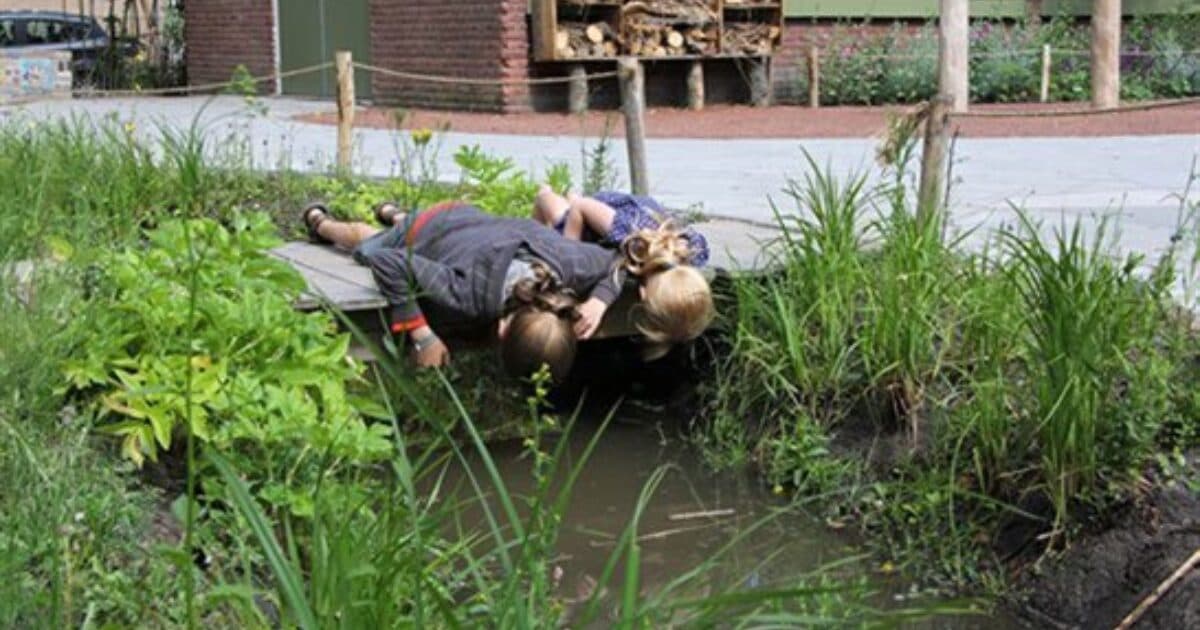 Elf scholen Zuid-Holland een groen schoolplein dankzij subsidie