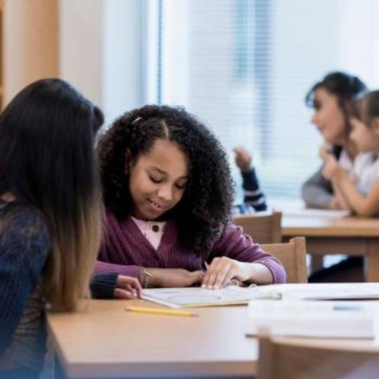 Basisonderwijs Lesidee | Collegiale Toetsing