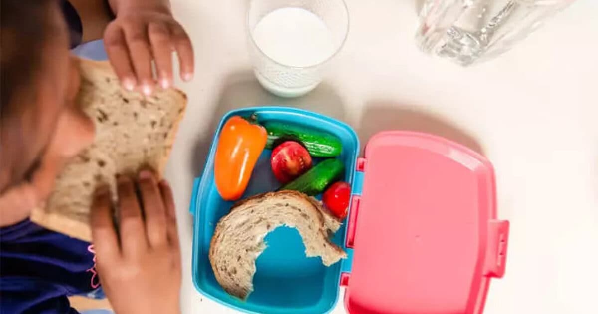 Schoolmaaltijd met gezonde producten levert kinderen meer op dan alleen gevulde maag