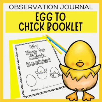 Basisonderwijs Lespakket | Van Ei tot Kuiken Boekje Kuiken Uitbroeden Observatie Journal (Engelstalig)