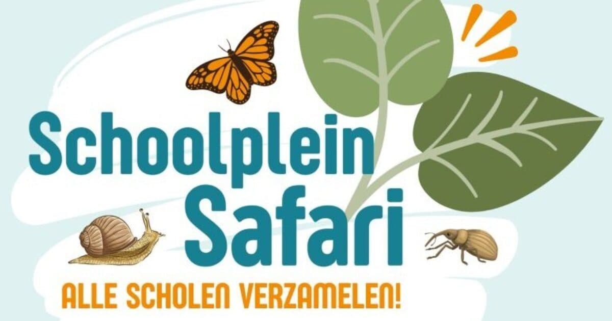Basisschoolleerlingen groepen 6, 7 en 8 op Schoolplein Safari