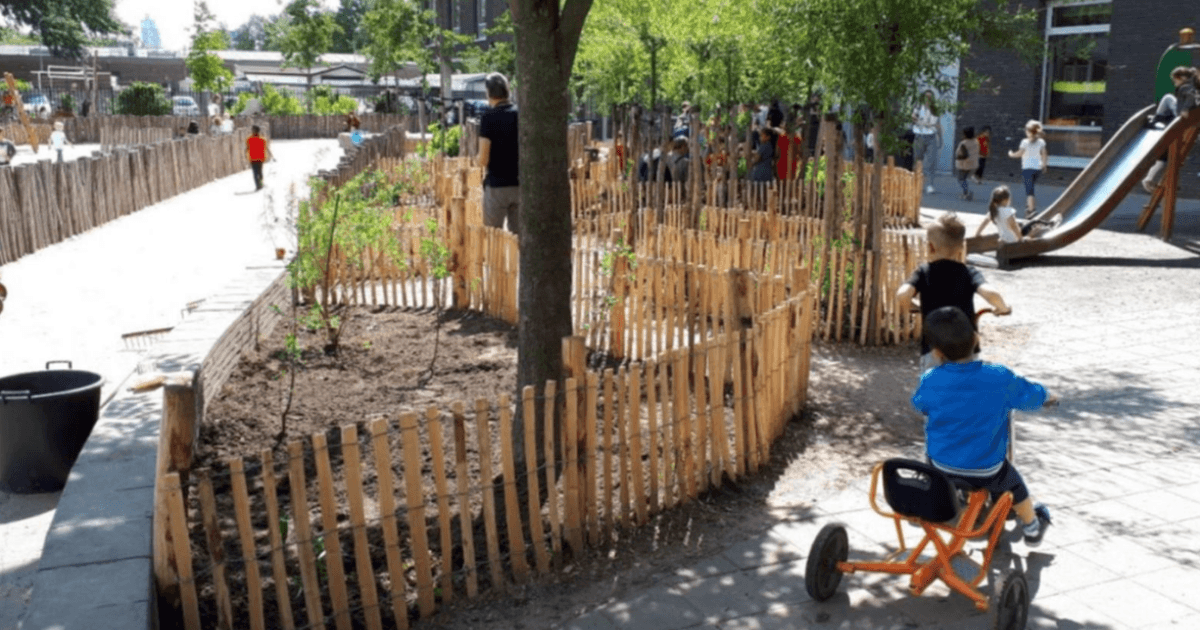 Bijna alle basisscholen in Tilburg bezig met groen schoolplein