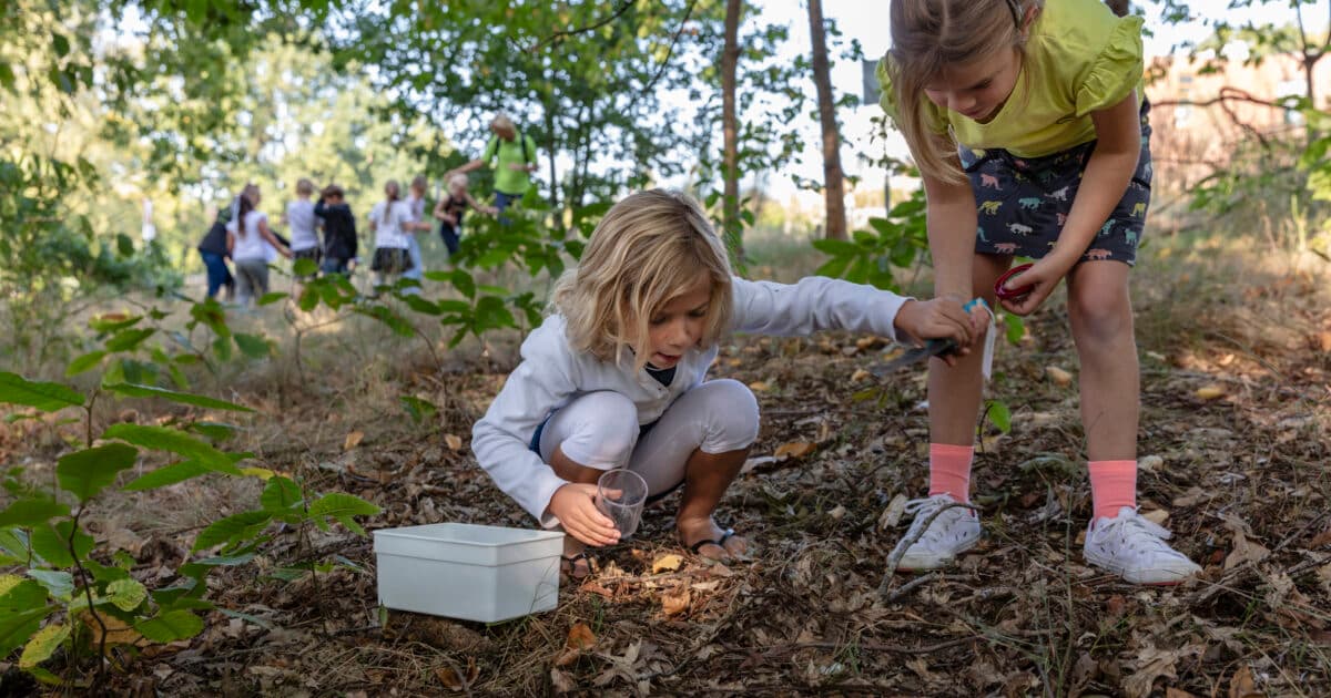 IVN Natuureducatie zet samen met basisonderwijs in op de natuurrijke schooldag