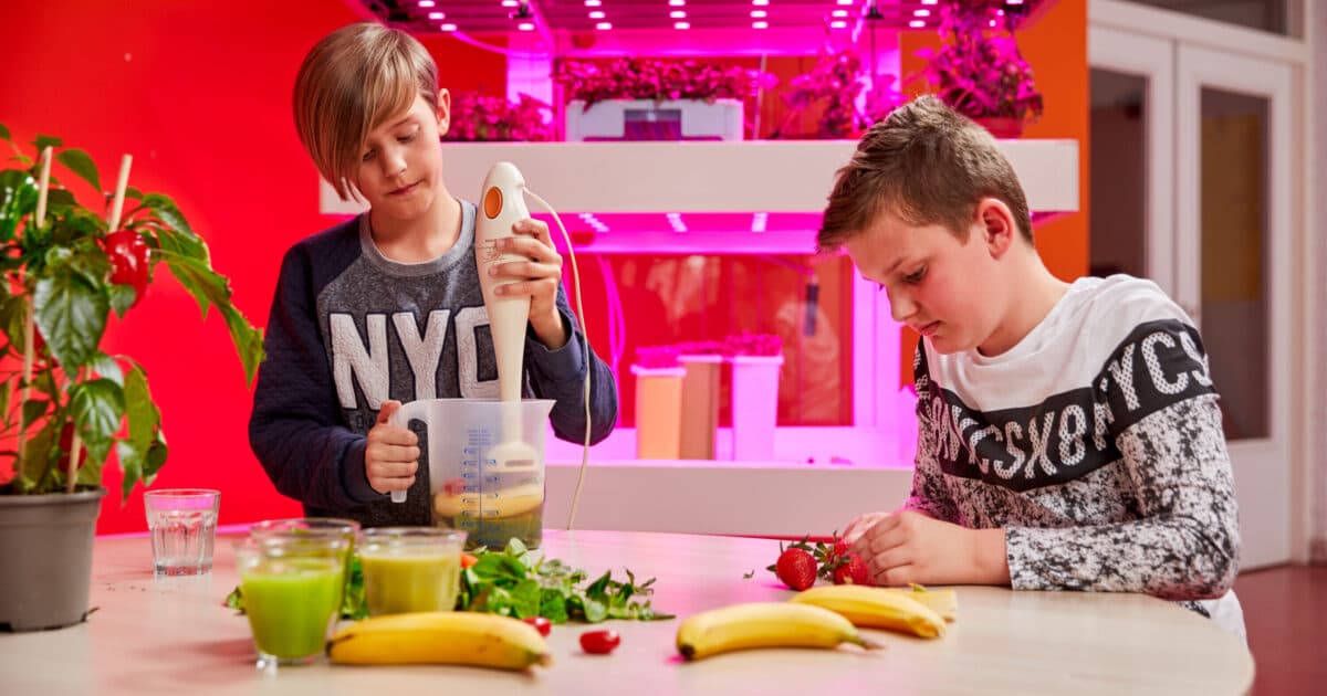 Ruimte in curriculum voor innovatieve voedseleducatie met GrowWizzKid