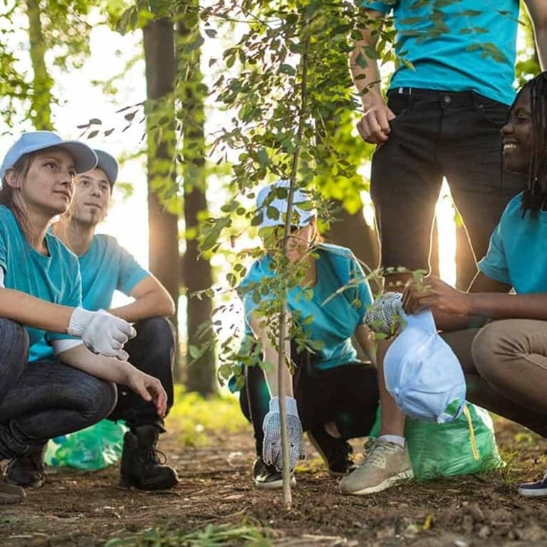 Basisonderwijs Cursus | Lesgeven Over Klimaatverandering