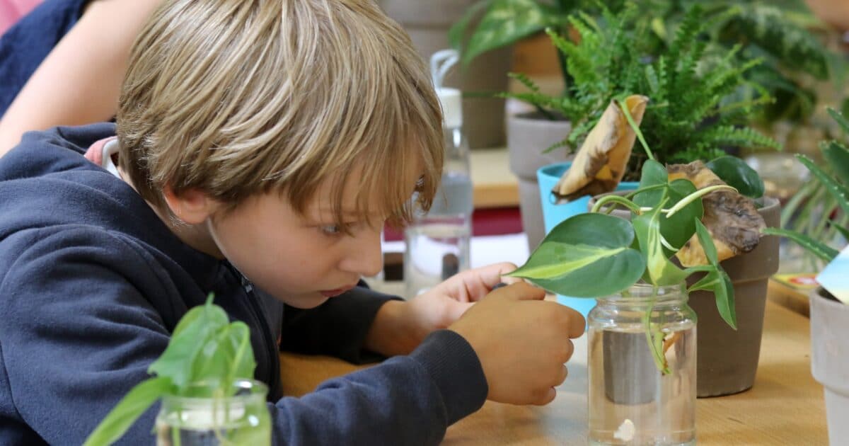 Iedere basisschool een binnenbos voor betere sfeer en concentratie