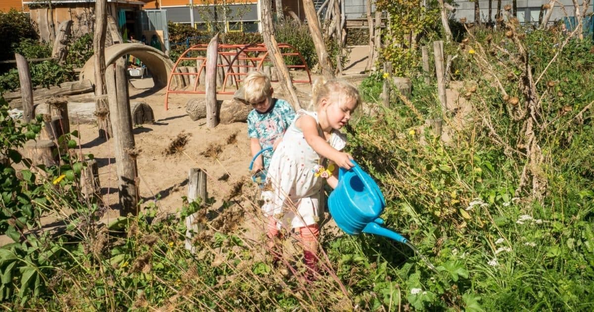 Provincie Overijssel wil in 2025 alle schoolpleinen vergroenen