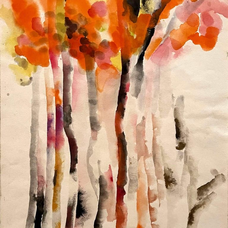 Basisonderwijs Lesidee | Ruth Asawa: Denkbeeldige Bomen