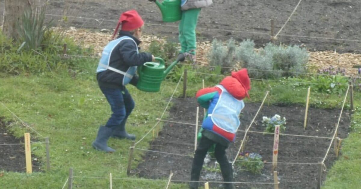 Reguliere basisscholen gezocht voor moestuinonderzoek