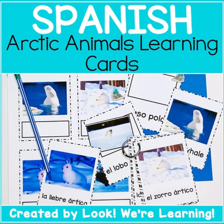 Basisonderwijs Lespakket | Spaanse Arctische Dierenleerkaarten
