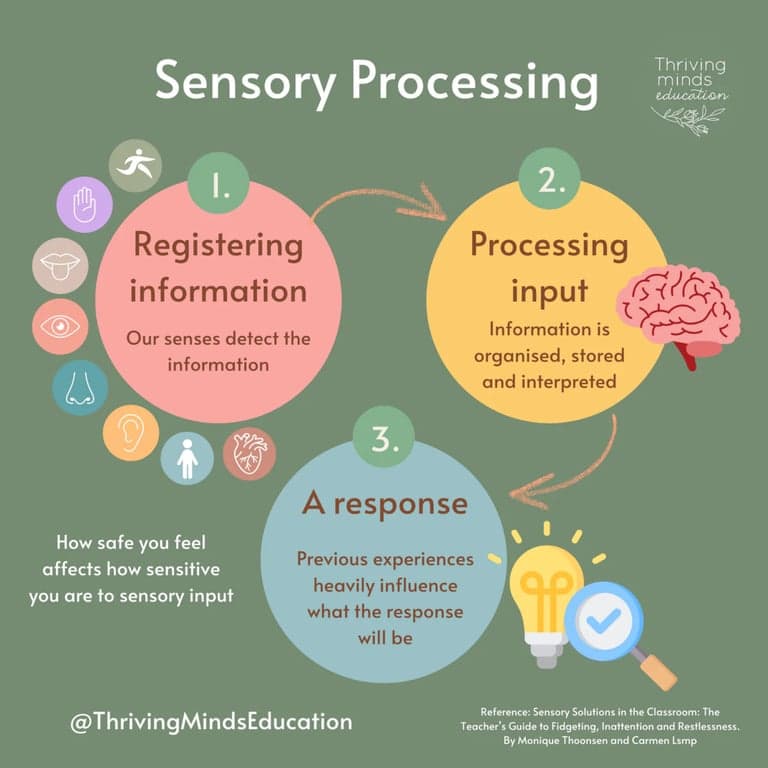Basisonderwijs Poster | Sensorische Verwerking: Digitaal Downloaden (Engelstalig)