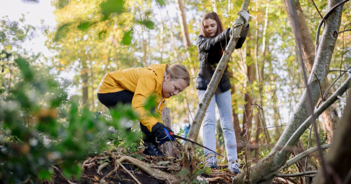 Buiten bewegen in de natuur verbetert motoriek en gezondheid kinderen