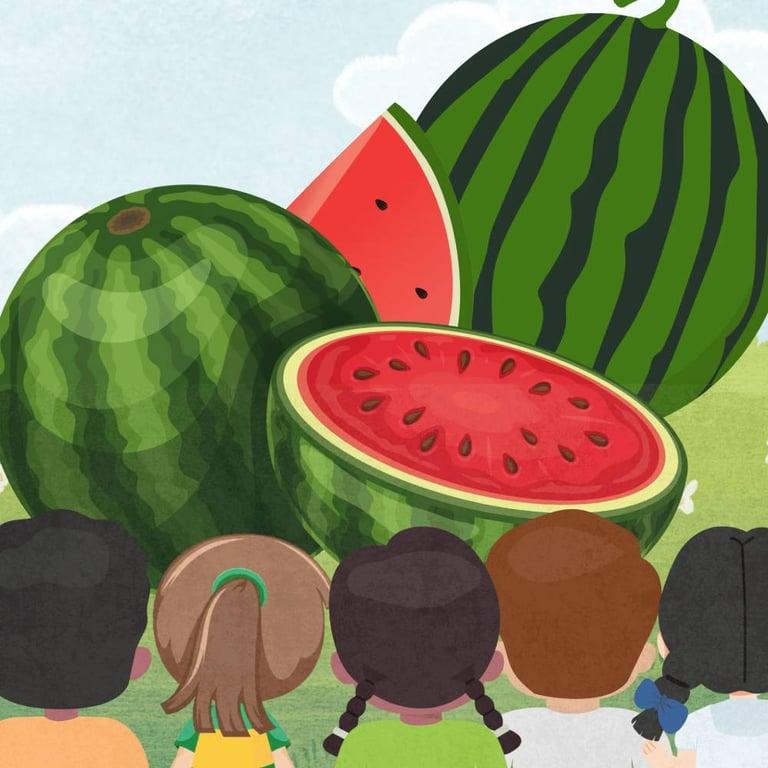 Basisonderwijs Werkblad | Eerste Graad: Deel-Deel-Geheel