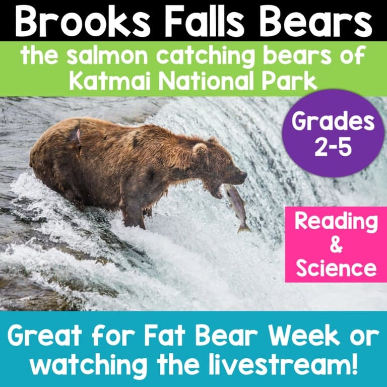 Basisonderwijs Lespakket | Brooks Falls Bears Katmai National Park Fat Bear Week-Activiteiten