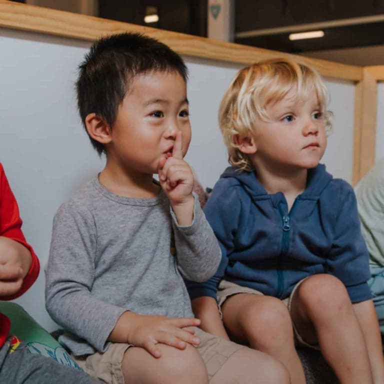 Basisonderwijs Cursus | Curriculumontwerp voor Drie- tot Vijfjarigen (Engelstalig)