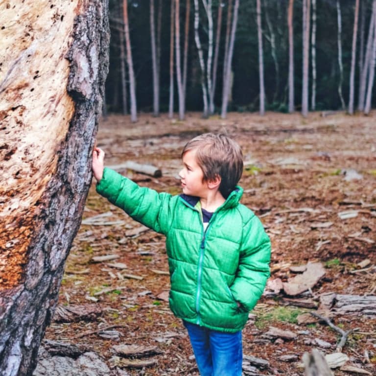 Basisonderwijs Lesidee | Het Leven in Verschillende Habitats Vergelijken (Engelstalig)