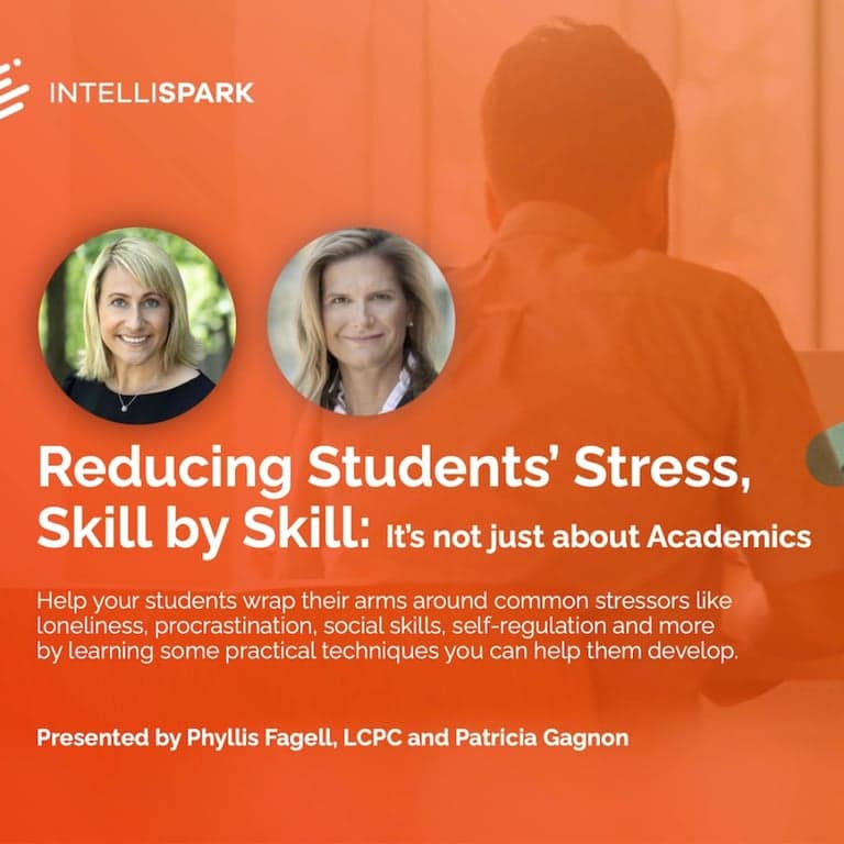 Basisonderwijs Webinar | Stress Bij Studenten Verminderen, Vaardigheid per Vaardigheid: het Gaat Niet Alleen om Theorie