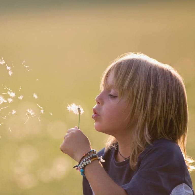 Basisonderwijs Training | Hoog Sensitieve Kind Practitioner: Professionele Training (Engelstalig)