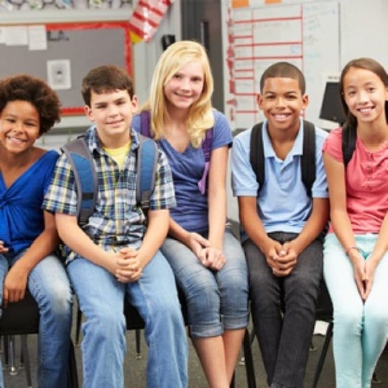 Basisonderwijs Cursus | Gedifferentieerde Instructie (10 Uur)