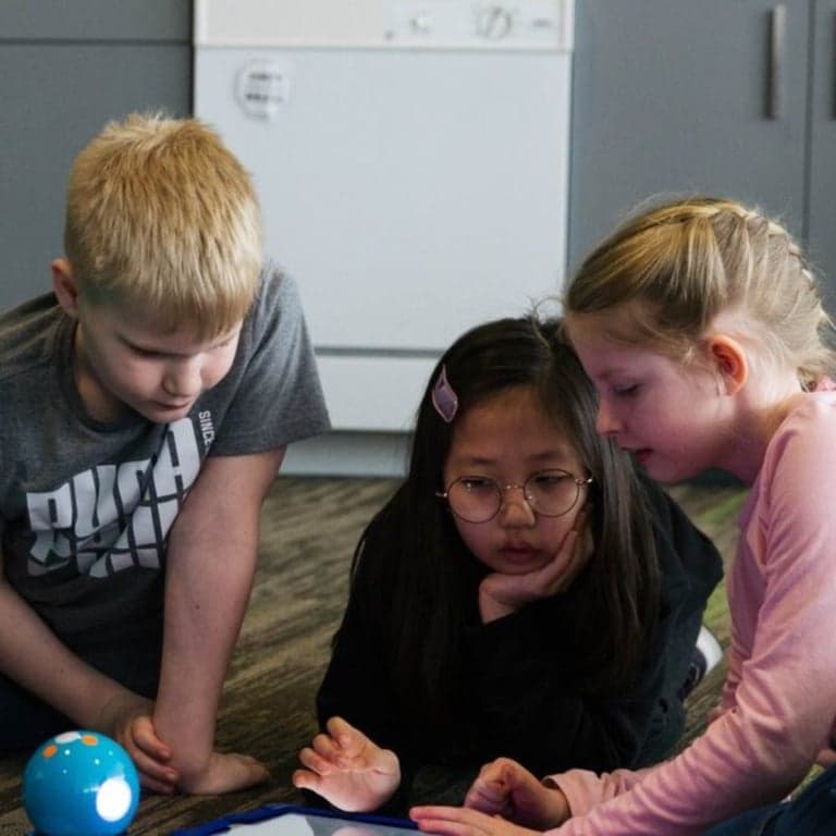 Basisonderwijs Lesidee | Is het een Magneet? (Engelstalig)