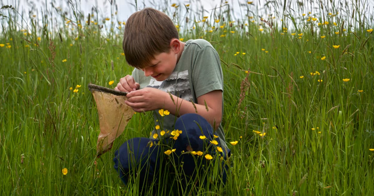 Biodiversiteit waterleven in slootjes lijkt af te nemen
