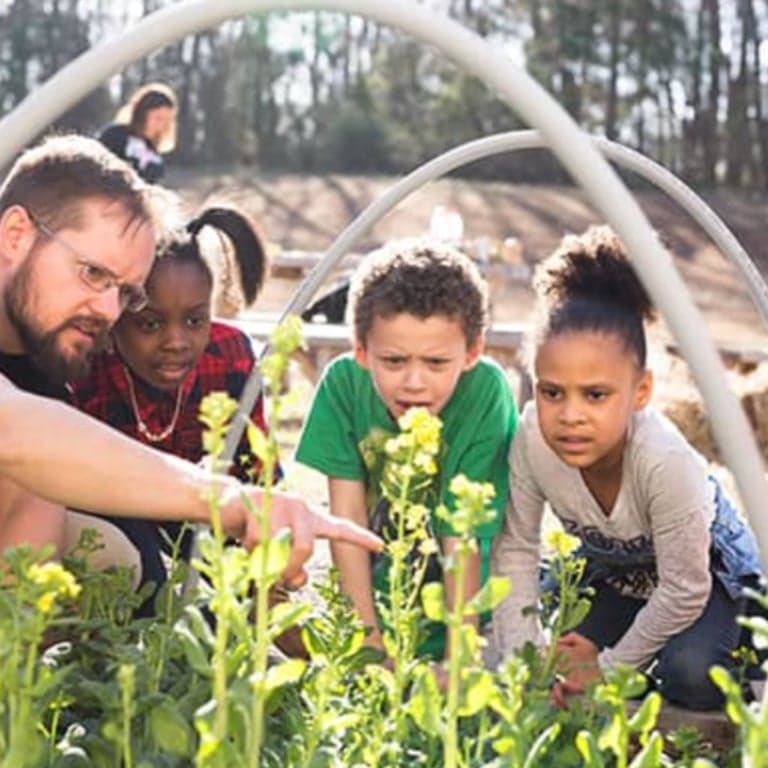 Basisonderwijs Lesidee | Meten en Meetkunde in de Tuin voor Groep 1-4 (Engelstalig)