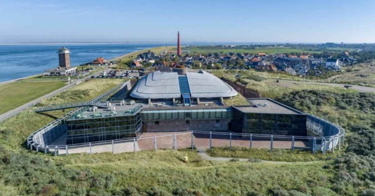 Groepen 4 en 5 van alle scholen in Den Helder op Wereldwaterdag samen het strand op