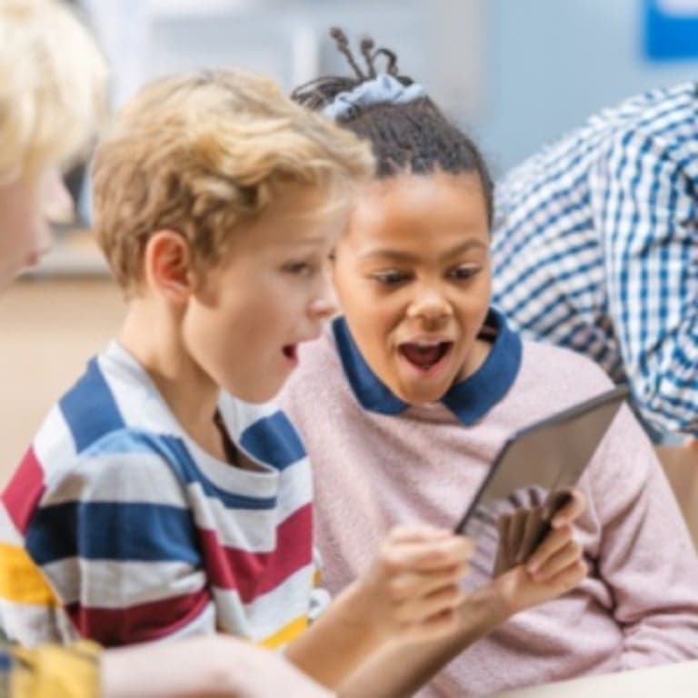 Basisonderwijs Cursus | Veiligheid op Internet in een Verbonden Wereld (5 Uur)
