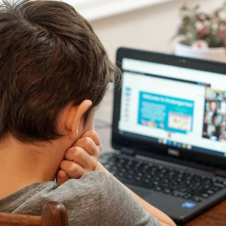 Basisonderwijs Lesidee | Aanpassingen van Grotdieren (Engelstalig)