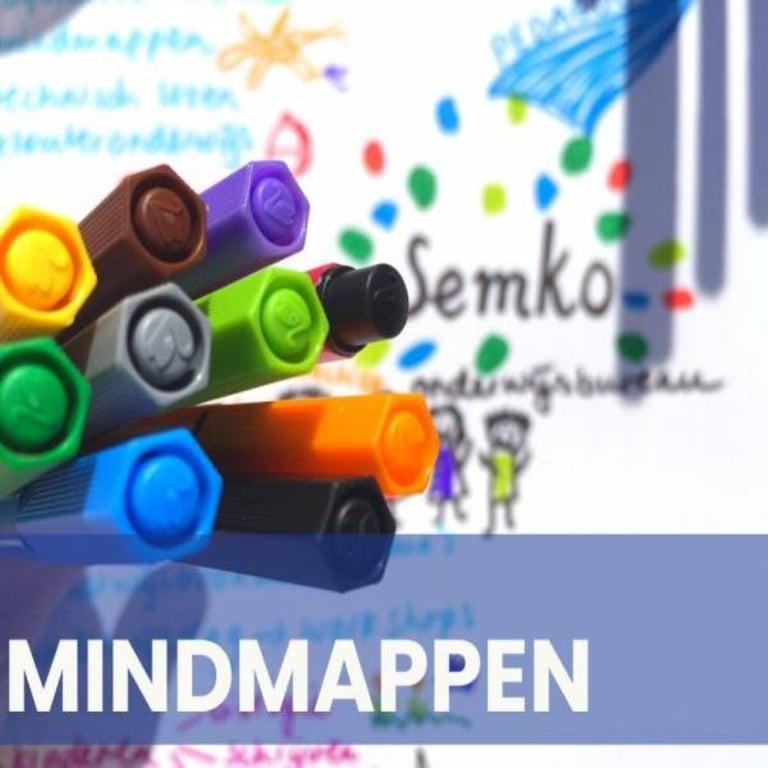 Basisonderwijs Workshop | Mindmappen in de School