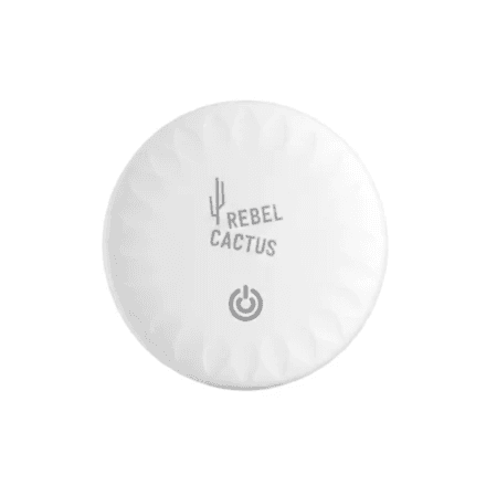 Basisonderwijs Rebel Cactus AirTag voor Kinderen