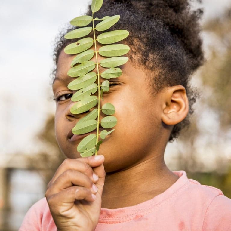 Basisonderwijs Lesidee | Lesplan voor de Tuin: Levende Systemen (Engelstalig)