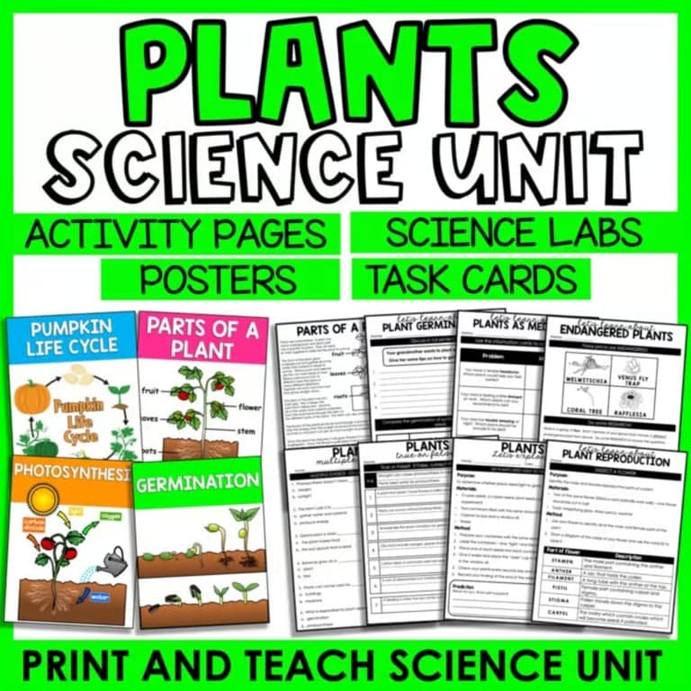 Basisonderwijs Lespakket | Planten