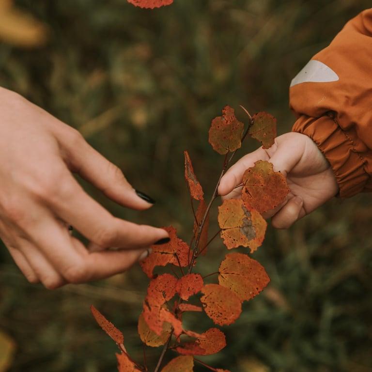 Basisonderwijs Cursus | Nature Education